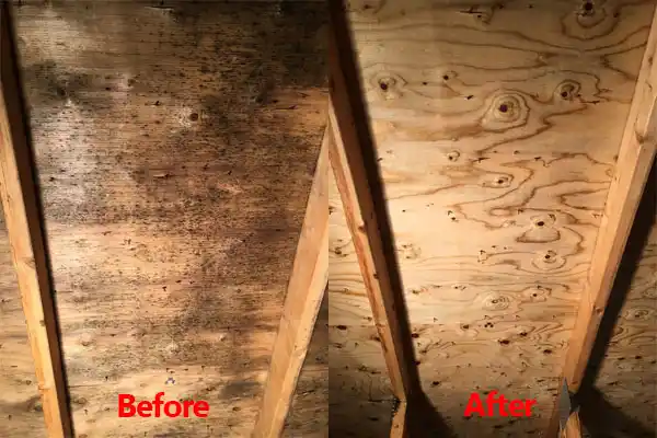 water damage restoration service Whitesville